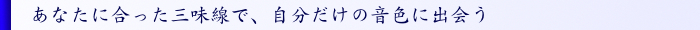 あなたに合った三味線